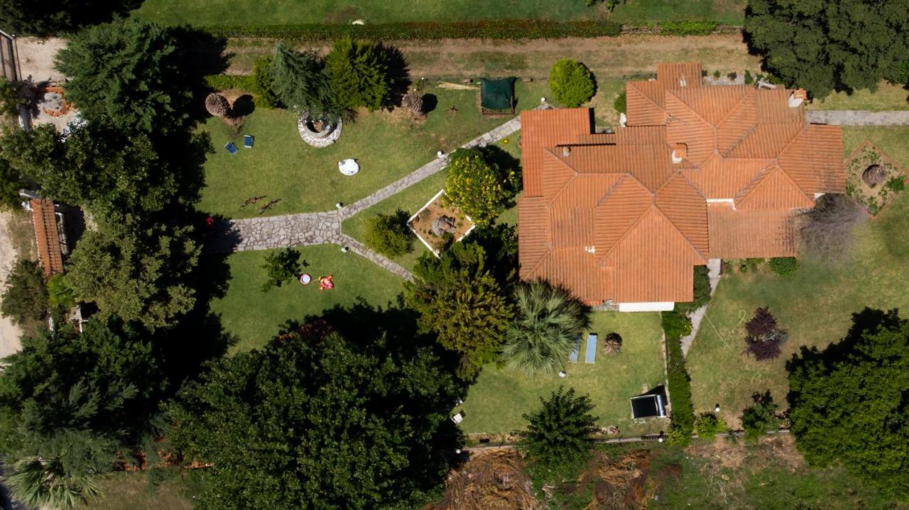 Villa Palmera Ierissós Exterior foto